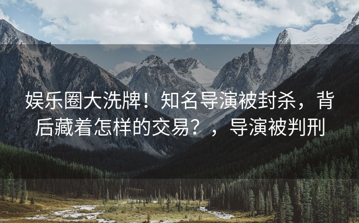 娱乐圈大洗牌!知名导演被封杀,背后藏着怎样的交易?,导演被判刑 娱乐圈大洗牌!知名导演被封杀,背后藏着怎样的交易?,导演被判刑